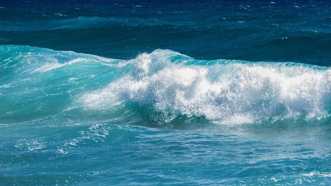 La sobrepesca y su impacto en la biodiversidad de los mares.