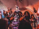 Orígenes del Flamenco